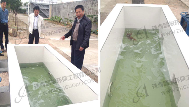 印染廢水處理后養(yǎng)魚(yú)？紡織污水處理廠(附圖)